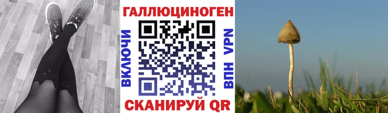 блэк спрут ONION  Ипатово  Галлюциногенные грибы мицелий 